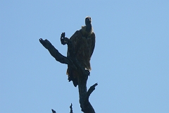 0219-Reis Zuid-Afrika2007